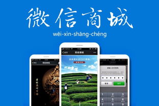 全網(wǎng)藍(lán)闊商城理財(cái)系統(tǒng)開(kāi)發(fā)源碼